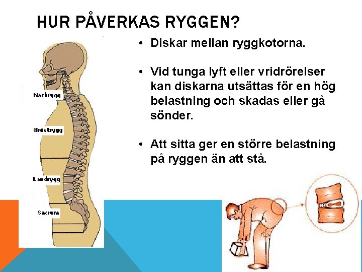 HUR PÅVERKAS RYGGEN? • Diskar mellan ryggkotorna. • Vid tunga lyft eller vridrörelser kan