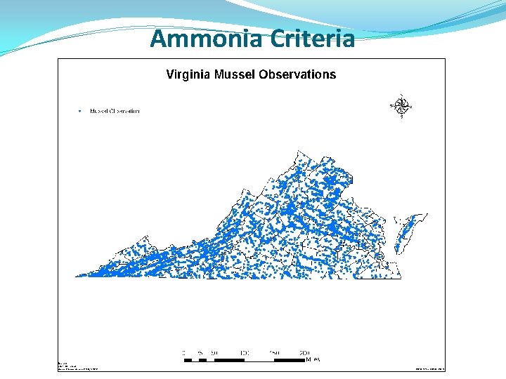 Ammonia Criteria 