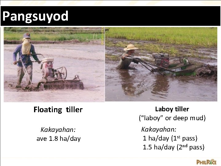 Pangsuyod Floating tiller Laboy tiller (“laboy” or deep mud) Kakayahan: ave 1. 8 ha/day