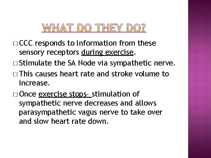 � CCC responds to information from these sensory receptors during exercise. � Stimulate the