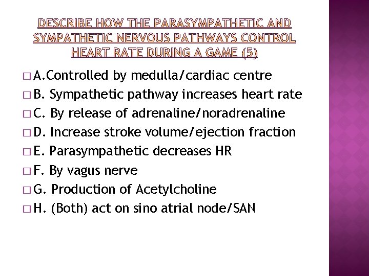 � A. Controlled by medulla/cardiac centre � B. Sympathetic pathway increases heart rate �