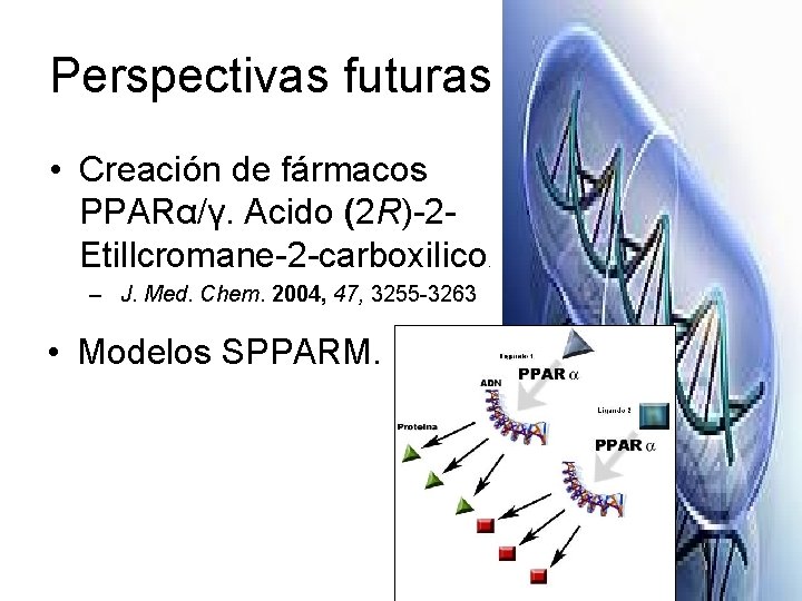 Perspectivas futuras • Creación de fármacos PPARα/γ. Acido (2 R)-2 Etillcromane-2 -carboxilico. – J.