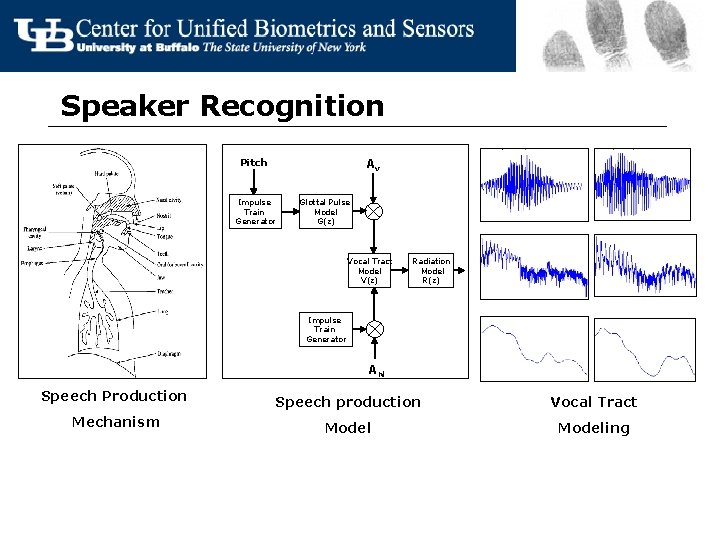 Speaker Recognition Av Pitch Impulse Train Generator Glottal Pulse Model G(z) Vocal Tract Model