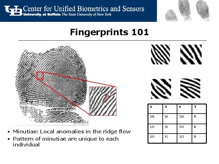 Fingerprints 101 § Minutiae: Local anomalies in the ridge flow § Pattern of minutiae