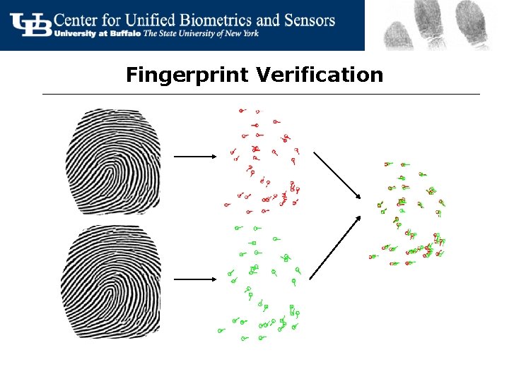 Fingerprint Verification 