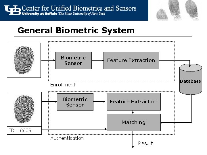 General Biometric System Biometric Sensor Feature Extraction Database Enrollment Biometric Sensor Feature Extraction Matching