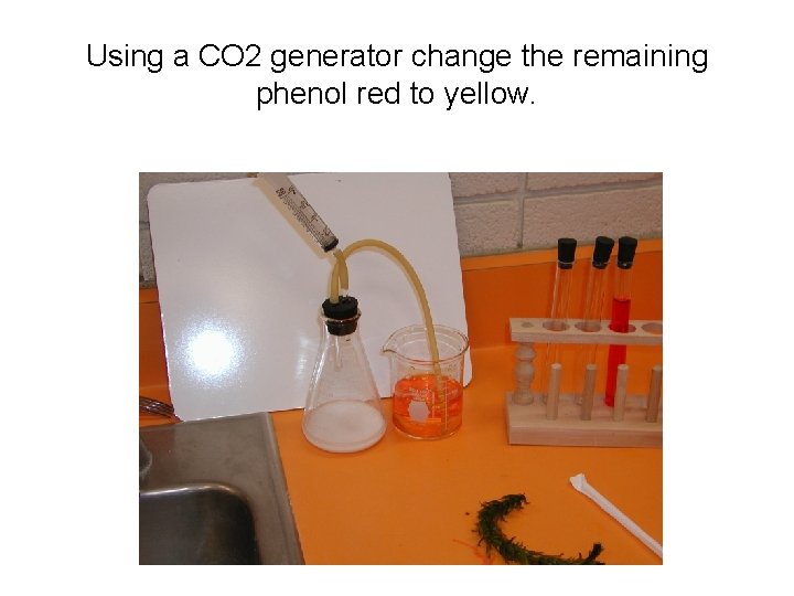 Using a CO 2 generator change the remaining phenol red to yellow. 