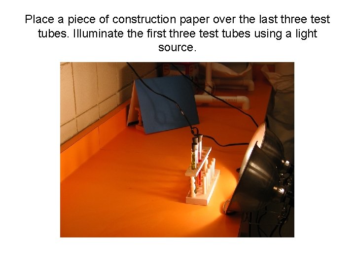 Place a piece of construction paper over the last three test tubes. Illuminate the
