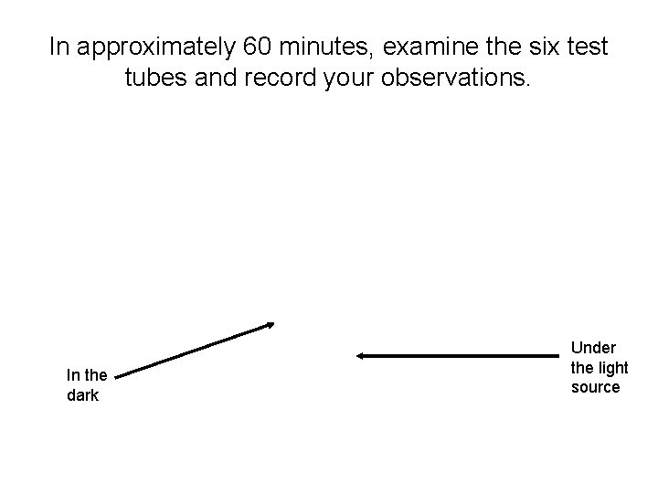 In approximately 60 minutes, examine the six test tubes and record your observations. In
