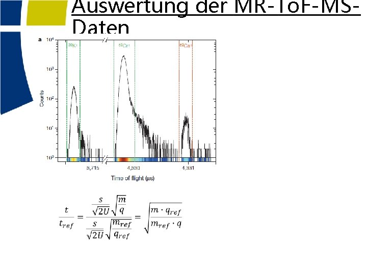 Auswertung der MR-To. F-MSDaten 