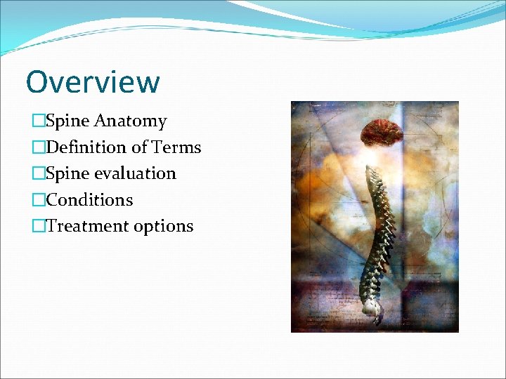 Overview �Spine Anatomy �Definition of Terms �Spine evaluation �Conditions �Treatment options 