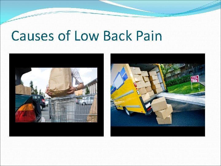 Causes of Low Back Pain 