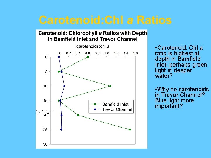 Carotenoid: Chl a Ratios • Carotenoid: Chl a ratio is highest at depth in