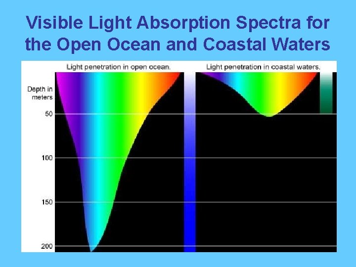 Visible Light Absorption Spectra for the Open Ocean and Coastal Waters 