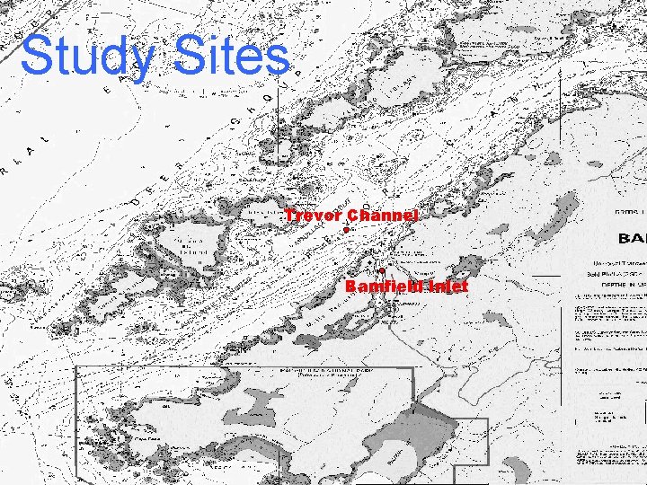 Study Sites Trevor Channel Bamfield Inlet 