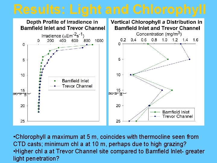 Results: Light and Chlorophyll • Chlorophyll a maximum at 5 m, coincides with thermocline