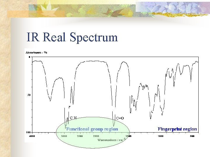 IR Real Spectrum 