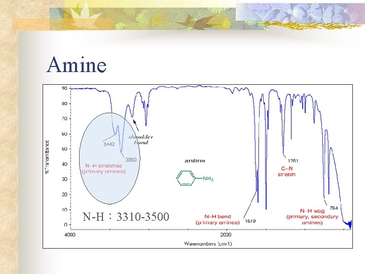 Amine N-H： 3310 -3500 