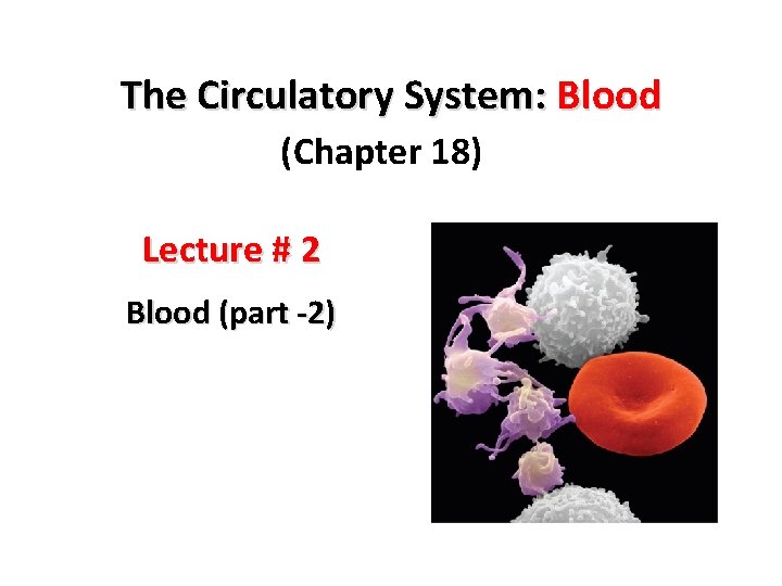 The Circulatory System: Blood (Chapter 18) Lecture # 2 Blood (part -2) 