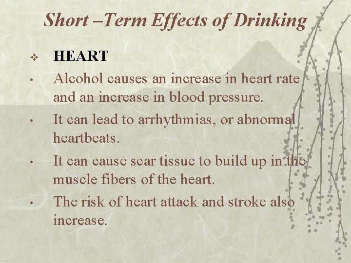 Short –Term Effects of Drinking v • • HEART Alcohol causes an increase in