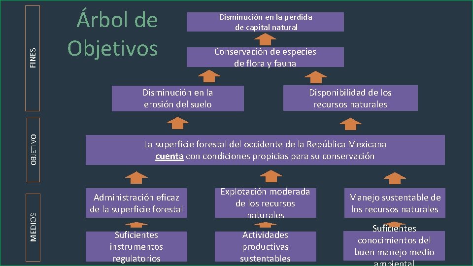 FINES Árbol de Objetivos Disminución en la pérdida de capital natural Conservación de especies