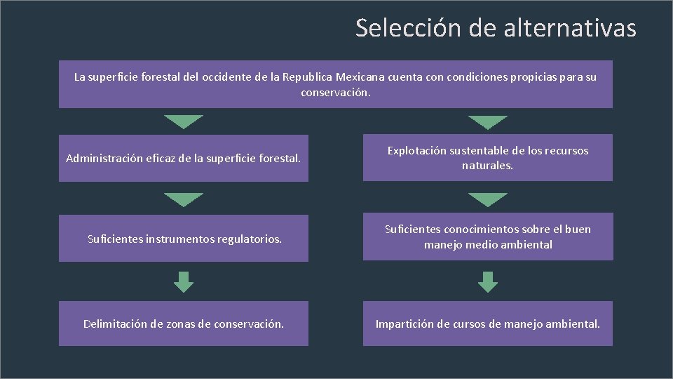 Selección de alternativas La superficie forestal del occidente de la Republica Mexicana cuenta condiciones