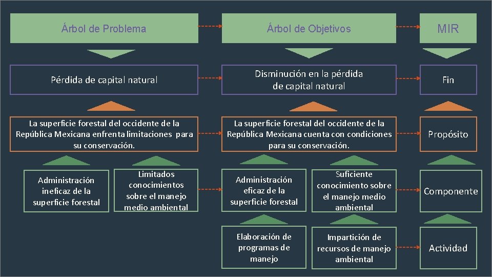 Árbol de Problema Árbol de Objetivos MIR Pérdida de capital natural Disminución en la