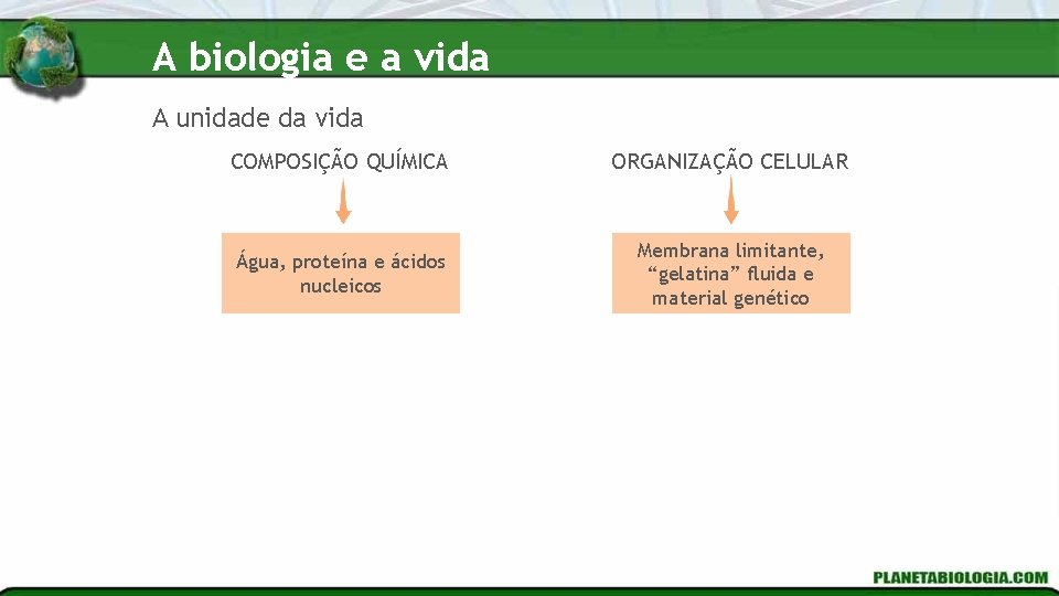 A biologia e a vida A unidade da vida COMPOSIÇÃO QUÍMICA ORGANIZAÇÃO CELULAR Água,