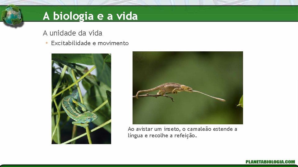 A biologia e a vida A unidade da vida • Excitabilidade e movimento Ao