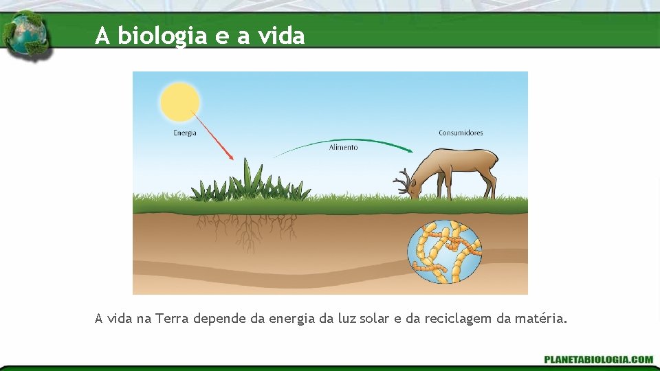 A biologia e a vida A vida na Terra depende da energia da luz