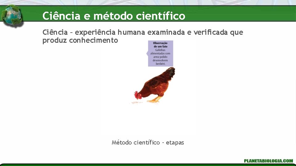 Ciência e método científico Ciência – experiência humana examinada e verificada que produz conhecimento