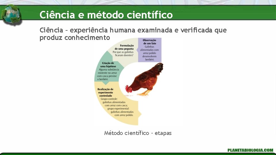 Ciência e método científico Ciência – experiência humana examinada e verificada que produz conhecimento