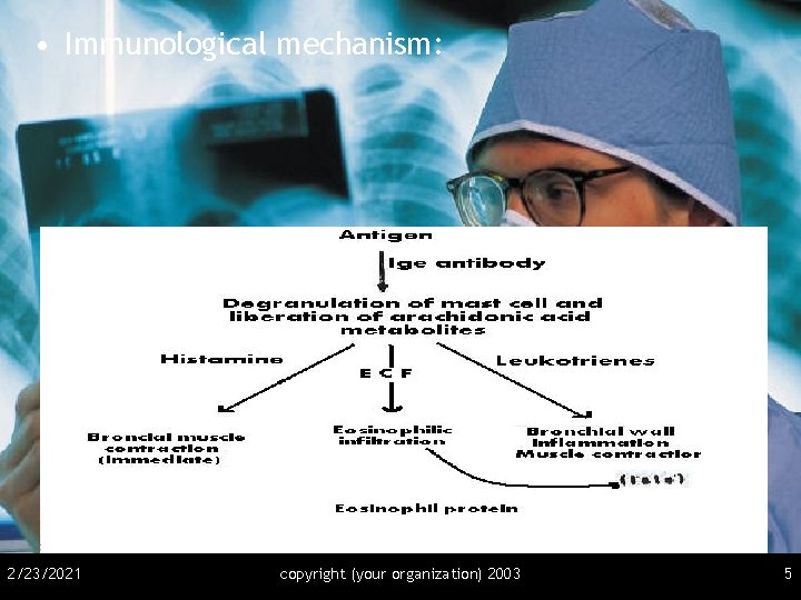  • Immunological mechanism: 2/23/2021 copyright (your organization) 2003 5 