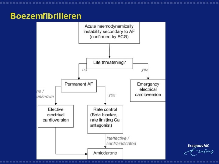 Boezemfibrilleren 