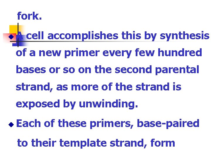 fork. u A cell accomplishes this by synthesis of a new primer every few