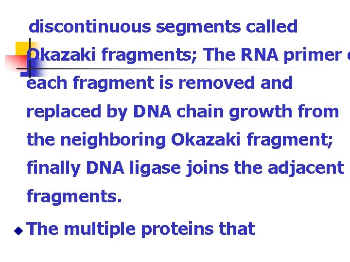 discontinuous segments called Okazaki fragments; The RNA primer o each fragment is removed and