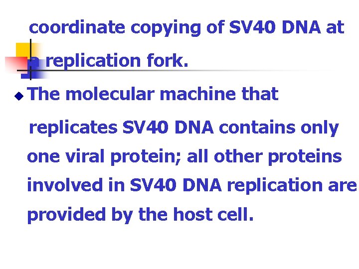 coordinate copying of SV 40 DNA at a replication fork. u The molecular machine