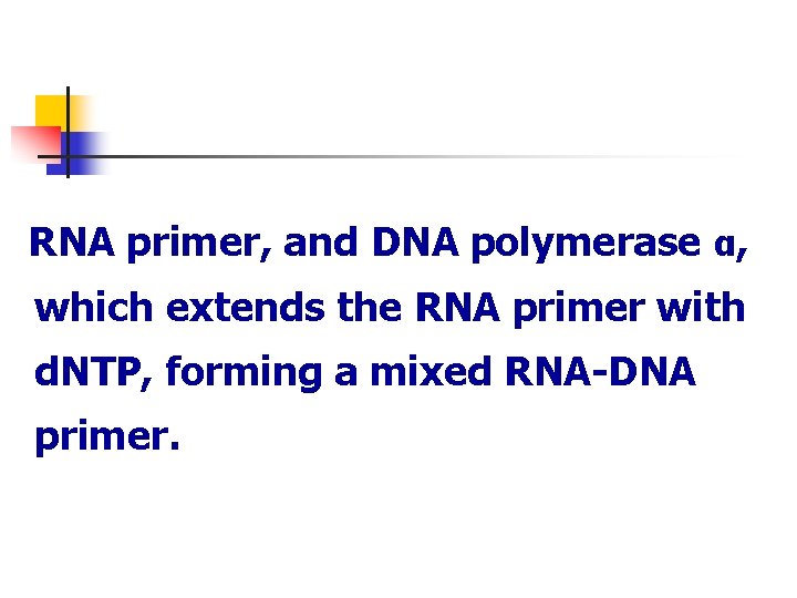 RNA primer, and DNA polymerase α, which extends the RNA primer with d. NTP,