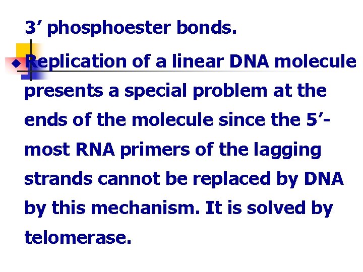 3’ phosphoester bonds. u Replication of a linear DNA molecule presents a special problem