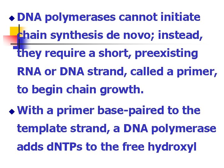 u DNA polymerases cannot initiate chain synthesis de novo; instead, they require a short,