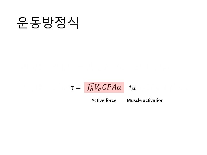 운동방정식 • Active force Muscle activation 