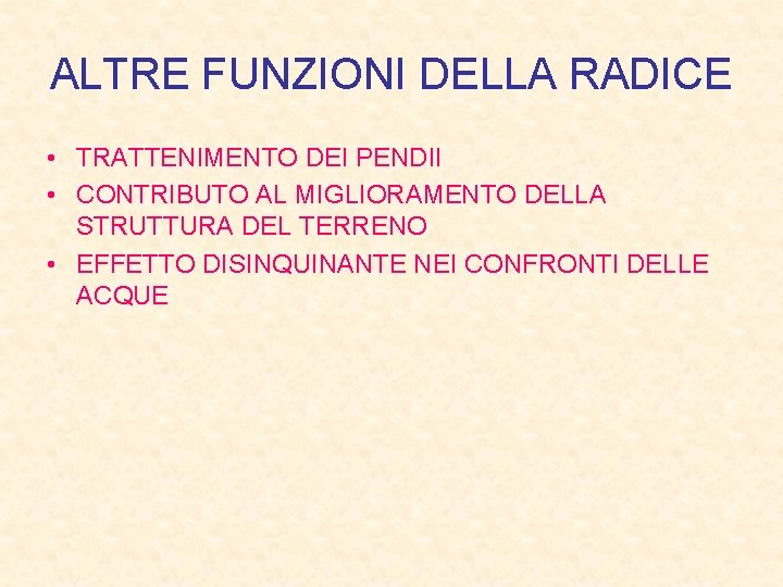 ALTRE FUNZIONI DELLA RADICE • TRATTENIMENTO DEI PENDII • CONTRIBUTO AL MIGLIORAMENTO DELLA STRUTTURA