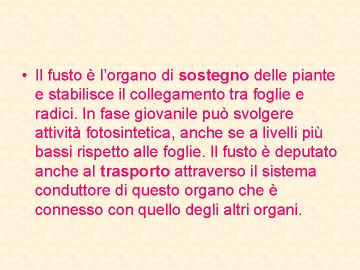  • Il fusto è l’organo di sostegno delle piante e stabilisce il collegamento