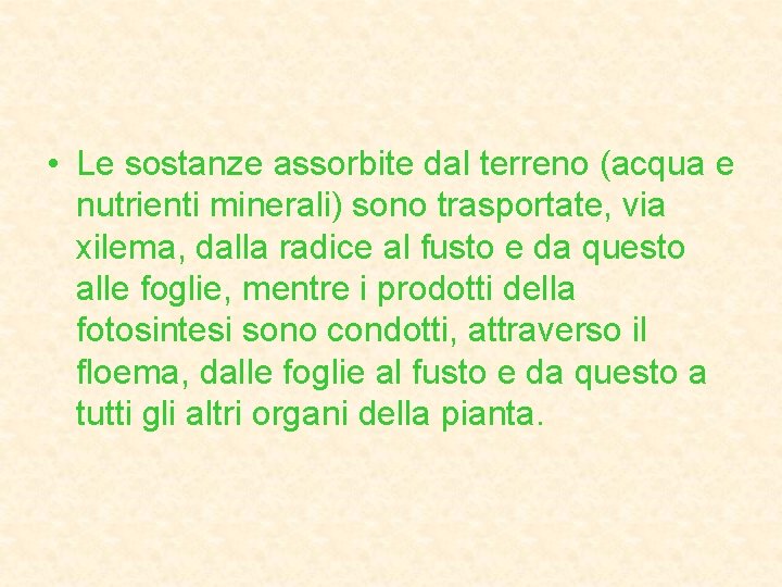  • Le sostanze assorbite dal terreno (acqua e nutrienti minerali) sono trasportate, via