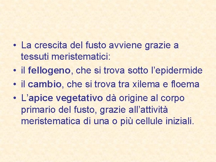  • La crescita del fusto avviene grazie a tessuti meristematici: • il fellogeno,