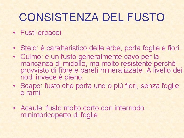 CONSISTENZA DEL FUSTO • Fusti erbacei • Stelo: è caratteristico delle erbe, porta foglie