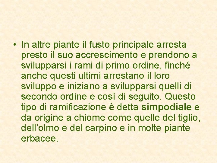  • In altre piante il fusto principale arresta presto il suo accrescimento e