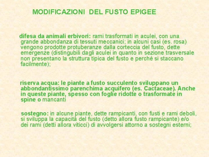 MODIFICAZIONI DEL FUSTO EPIGEE difesa da animali erbivori: rami trasformati in aculei, con una