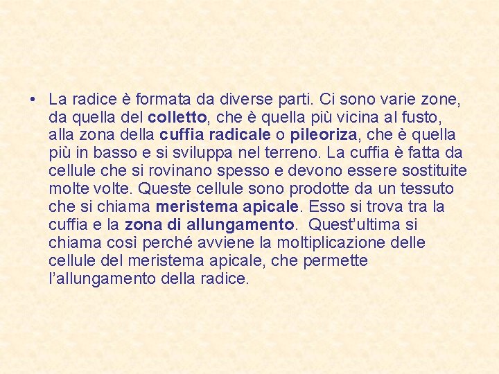  • La radice è formata da diverse parti. Ci sono varie zone, da