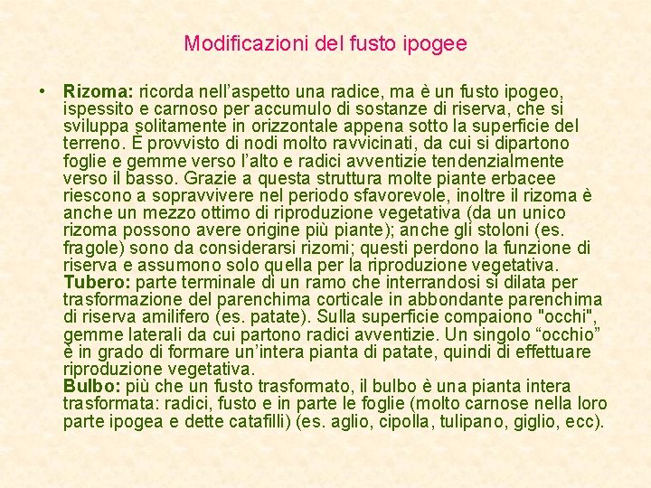 Modificazioni del fusto ipogee • Rizoma: ricorda nell’aspetto una radice, ma è un fusto